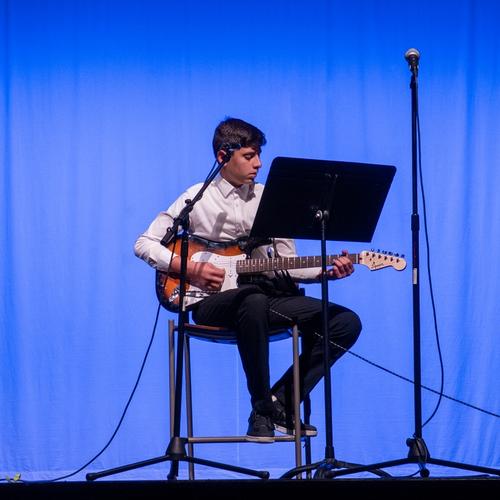 Guitar