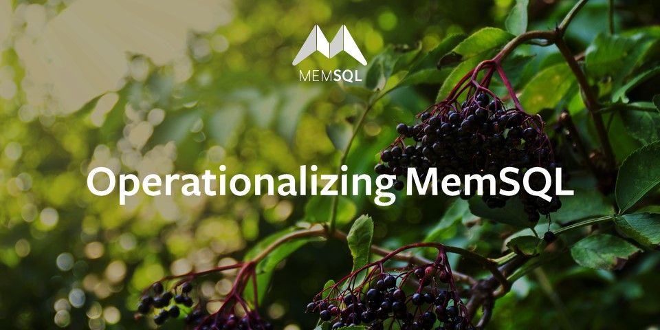 Operationalizing SingleStore