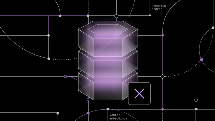 Why Your Vector Database Should Still Not be a Vector Database