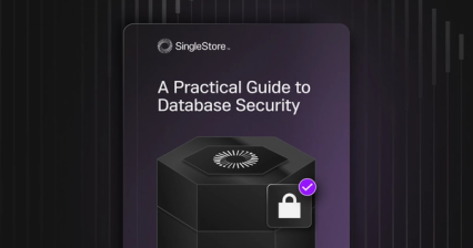 A Practical Guide to Database Security