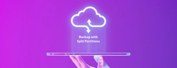 Backup With Split Partitions: Robust Partition Split via Backup