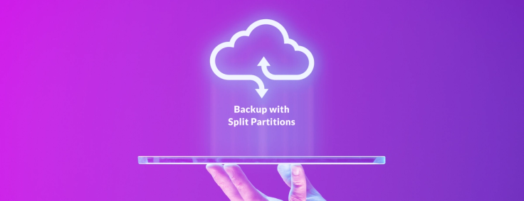 Backup With Split Partitions: Robust Partition Split via Backup