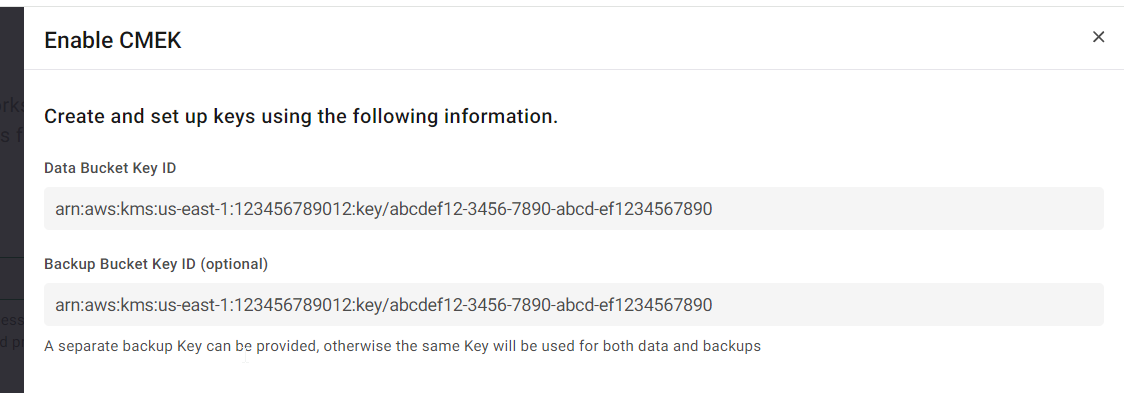 Cloud Key Management Service for AWS Volume Encryption > Configuring CMEK while deploying the workgroup Step 11