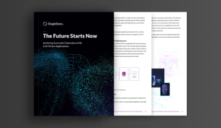 Achieving Successful Operation of AI & ML Driven Applications