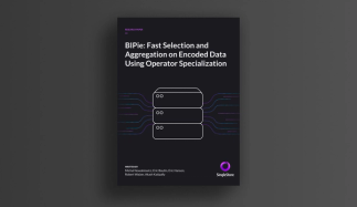 BIPie: Fast Selection and Aggregation on Encoded Data Using Operator Specialization