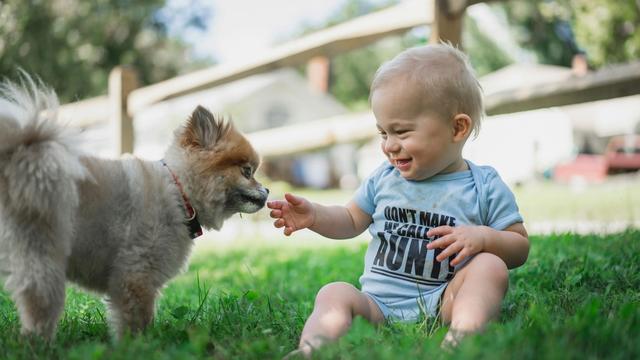 why-dogs-treat-children-differently-science