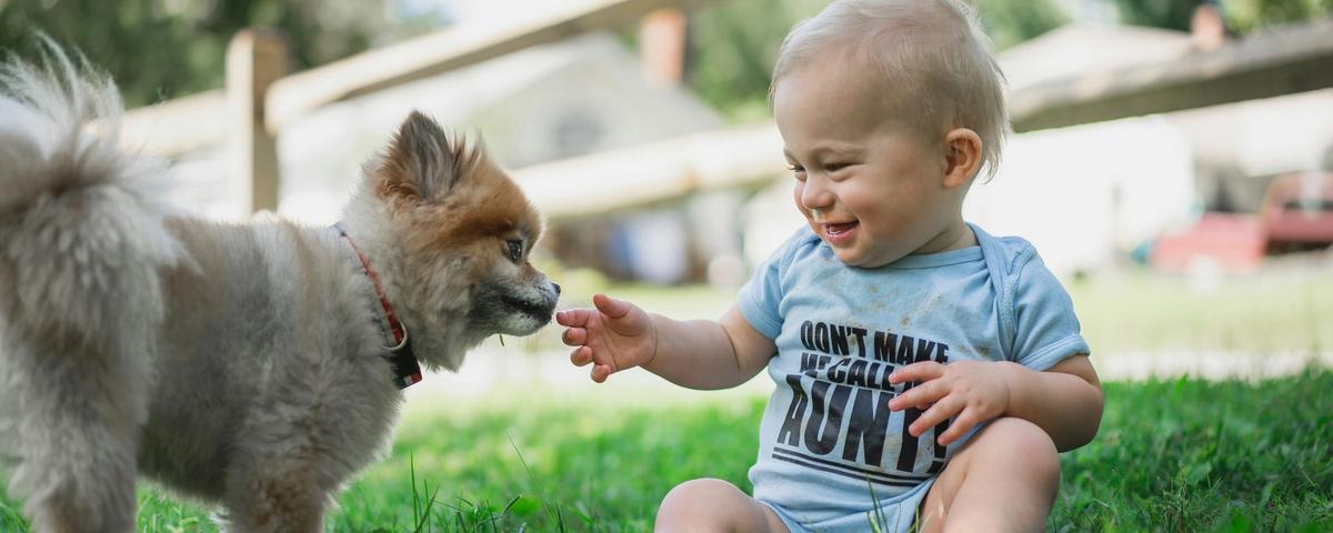 why-dogs-treat-children-differently-science