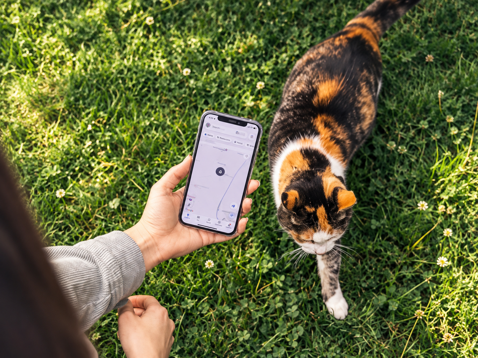 GPS Trackers, Smart Feeders and Pet Cams: Genuinely Useful or Overhyped? 