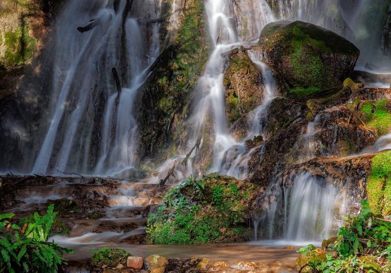 Meditazione in natura