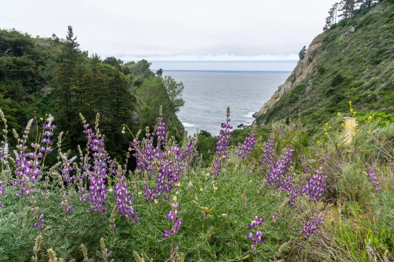 Big Sur Camping
