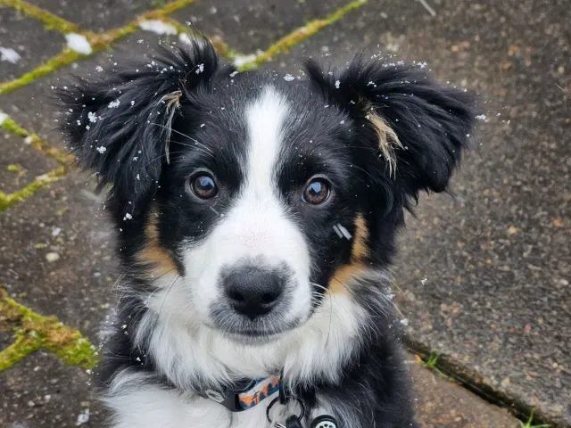Snow day