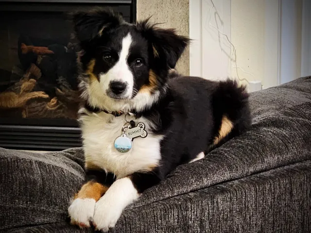 Looking Handsome