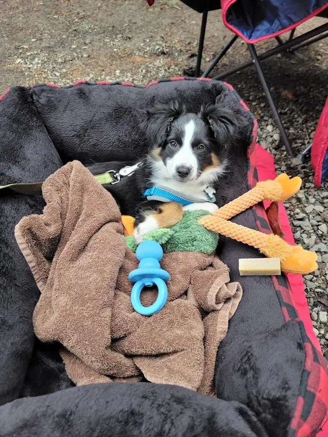 Tough first camping trip