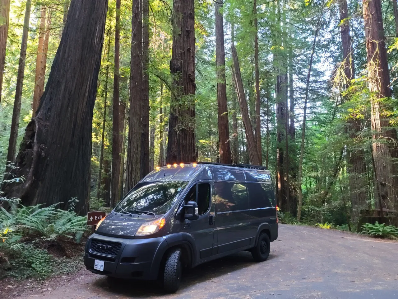 Camping in the time of COVID-19