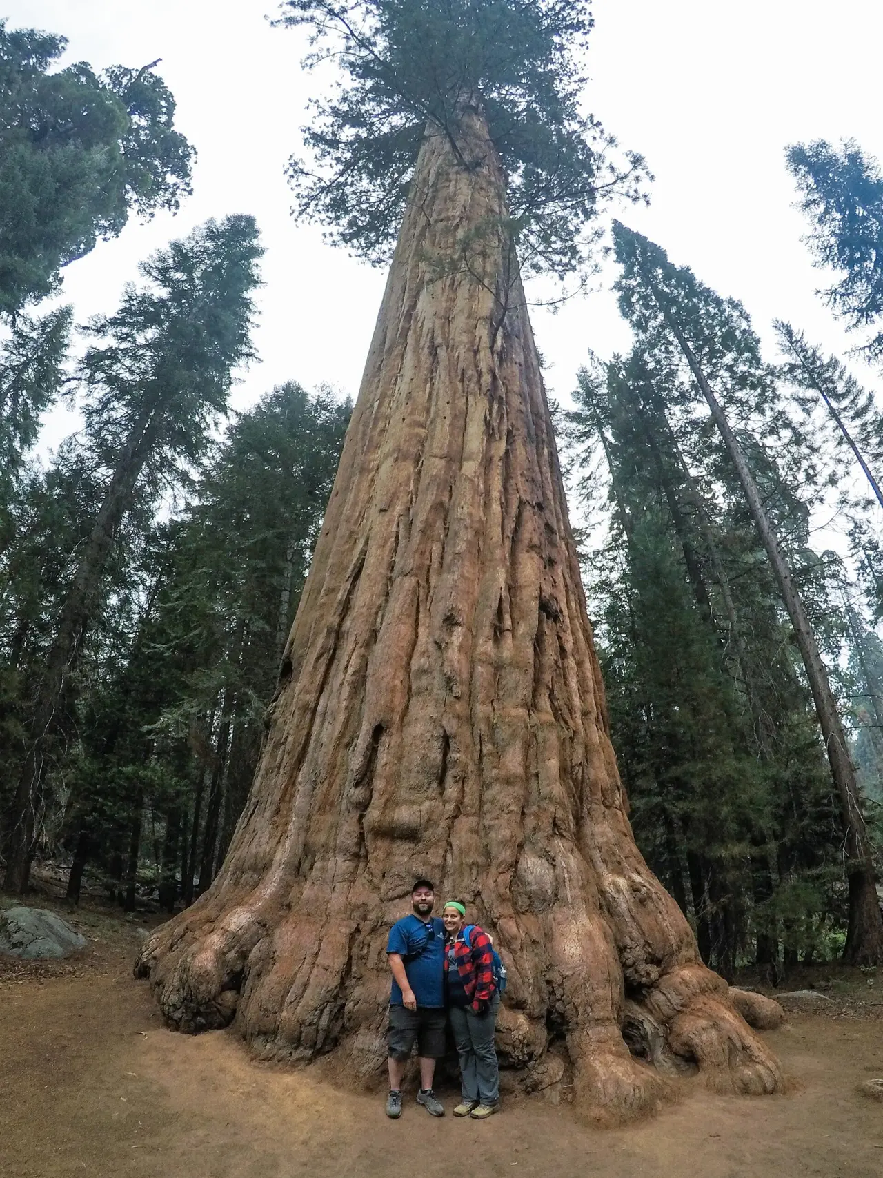 A Weekend Among Nature's Giants