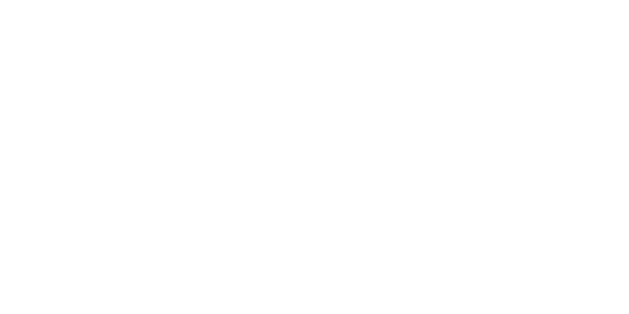 Nanushka Logo