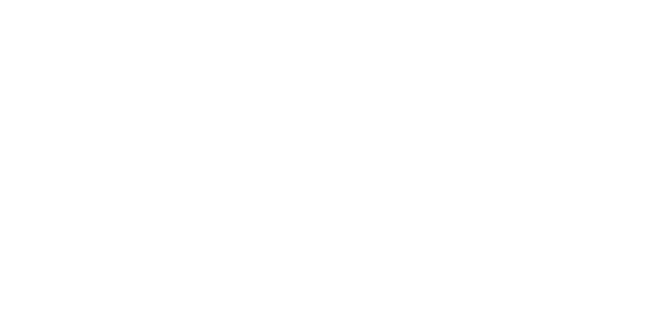 Shopify plus