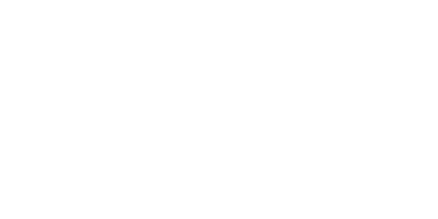 Triangl Logo