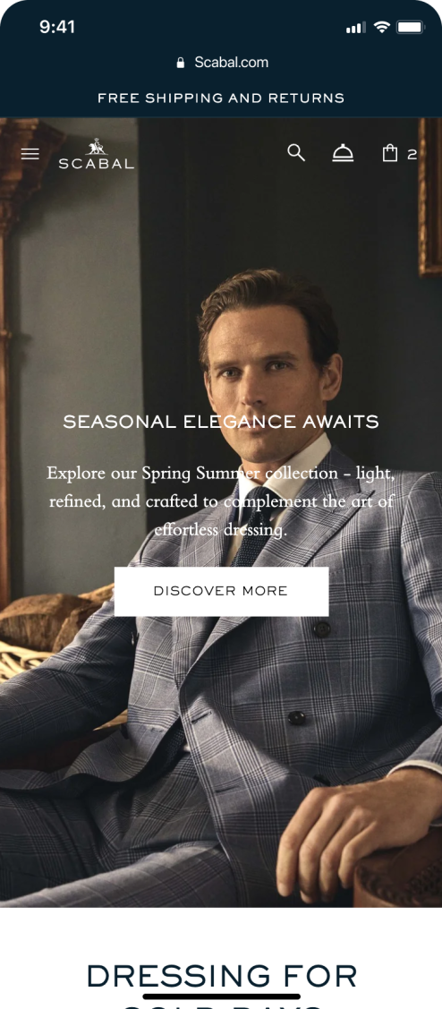 SCABAL homepage on mobile phone