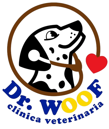 Doctor Woof