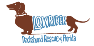 Lowrider Dachshund Rescue of Florida