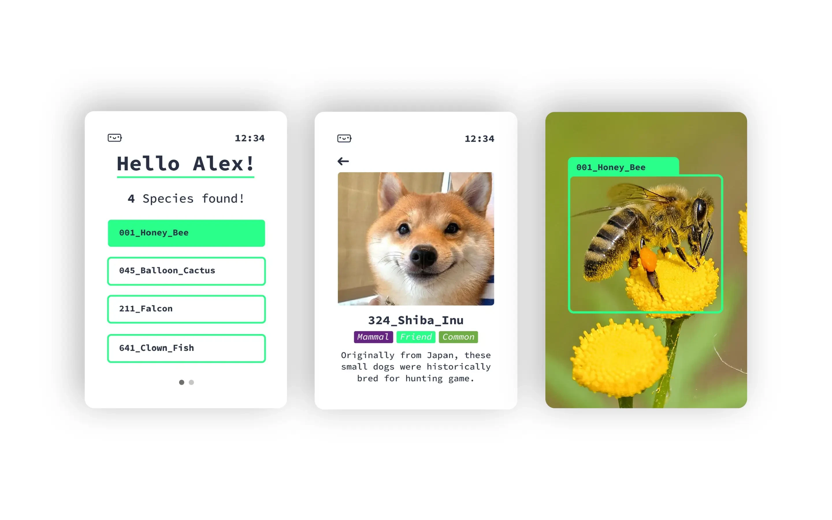 Ash AI Pokedex animal cards: species found list, Shiba Inu card and a honey bee capture