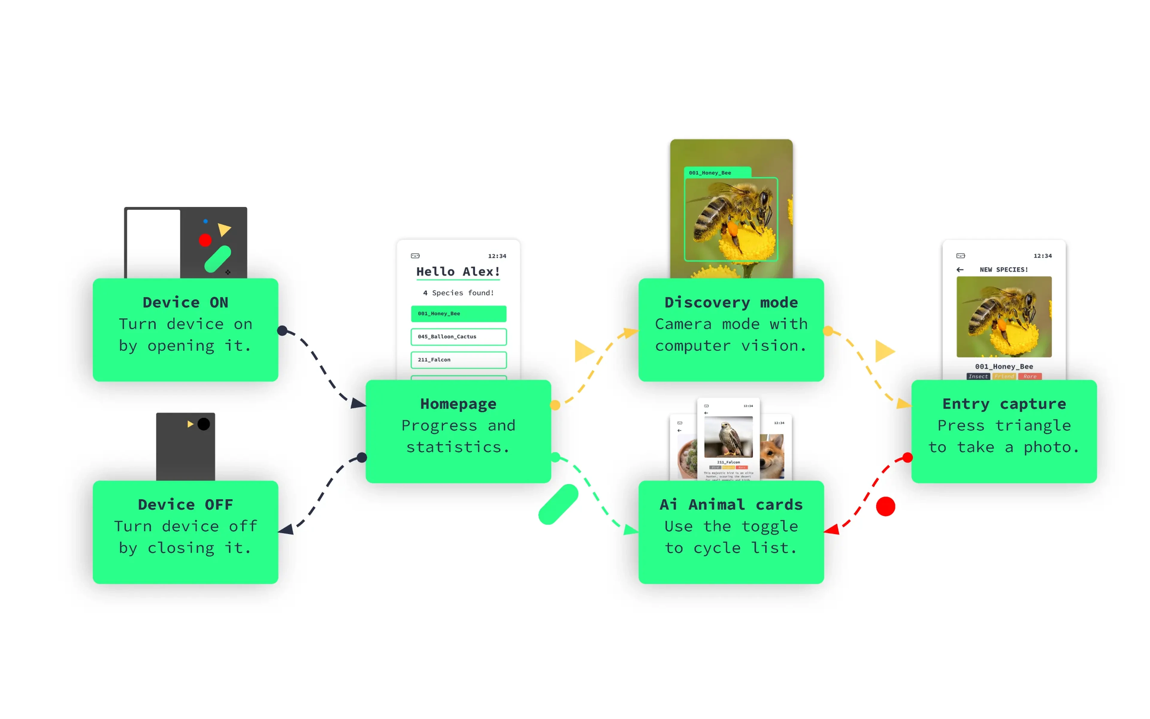 Ash AI Pokedex interaction flow: device on, discovery mode, capture, animal cards