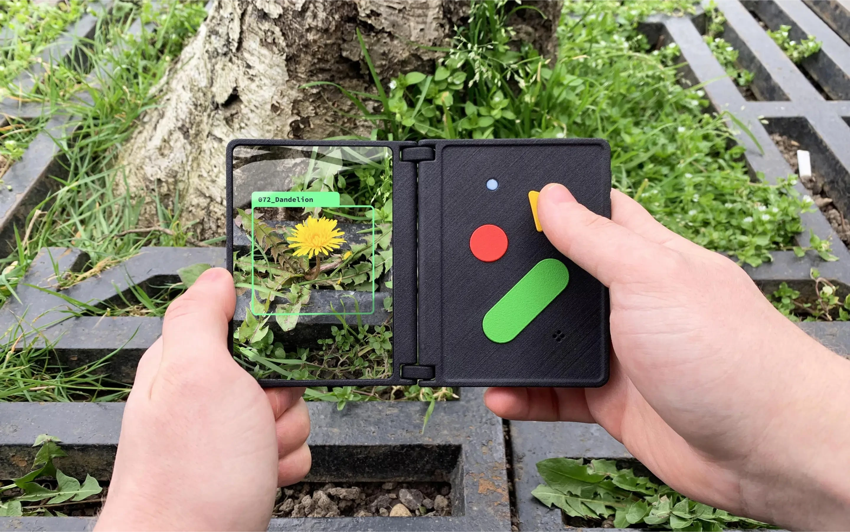 Child holding the Ash AI Pokedex outdoors, photographing a dandelion