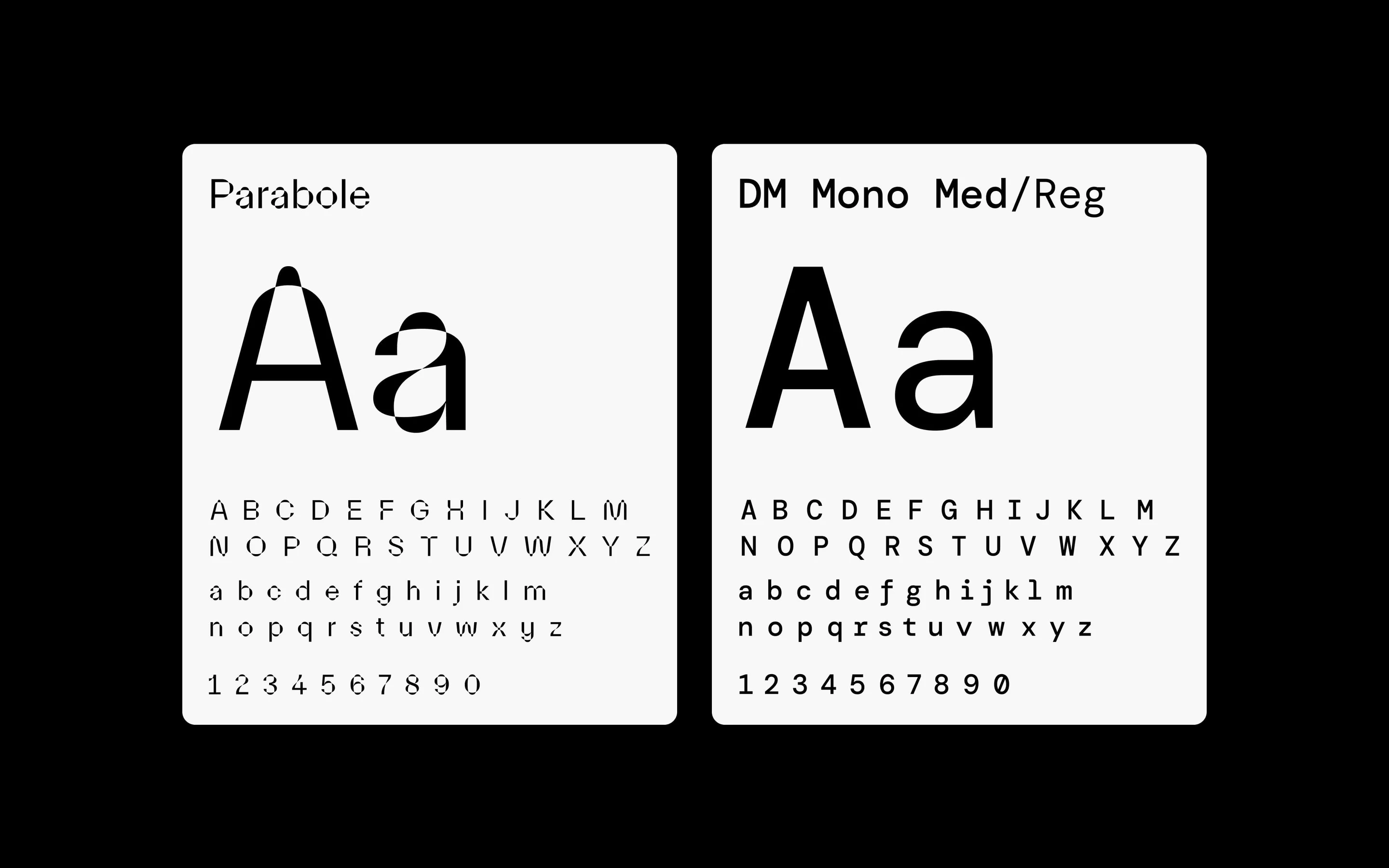 Rysk typography: Parabole for display, DM Mono for text