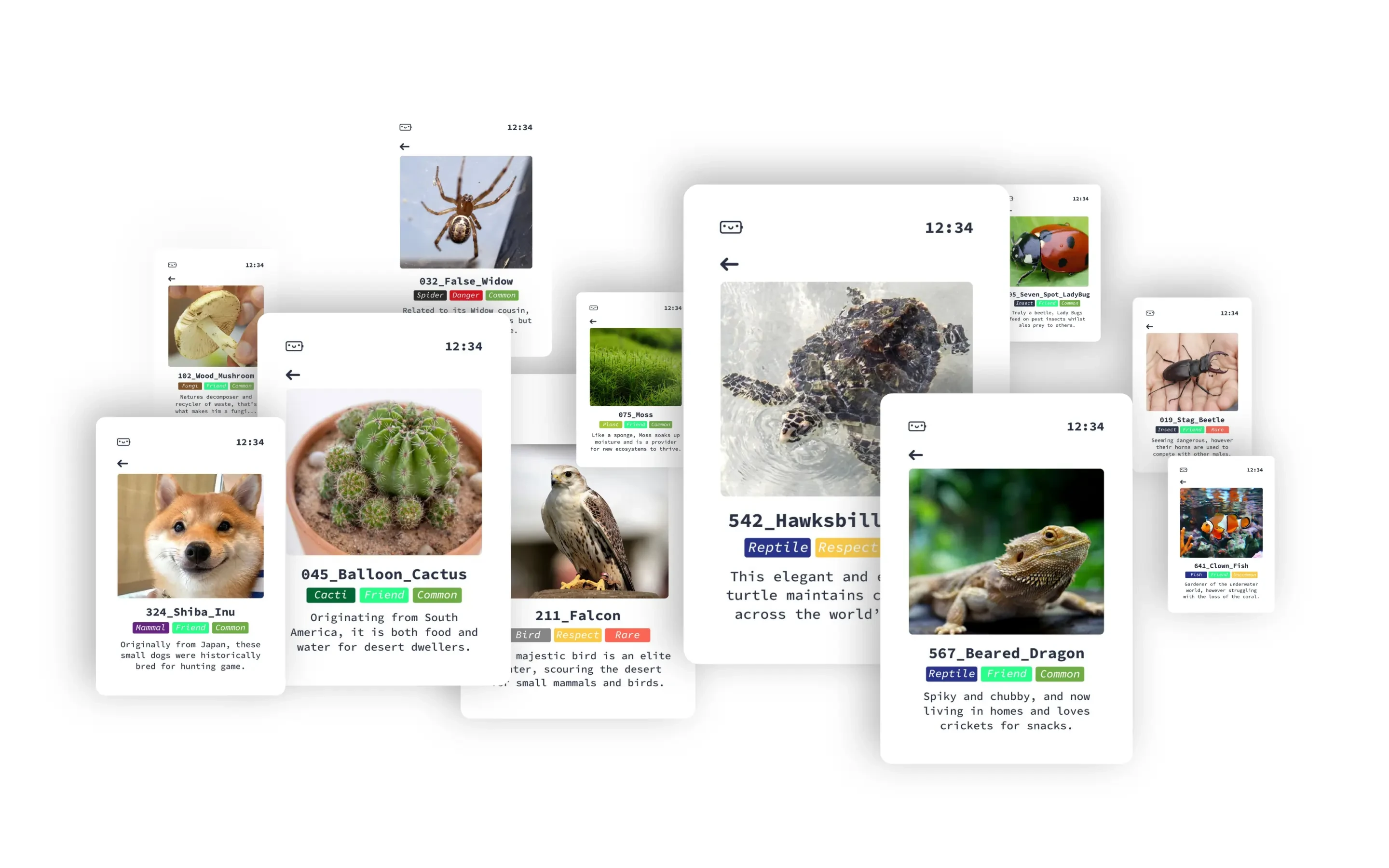 A spread of Ash AI Pokedex animal cards: balloon cactus, hawksbill turtle, bearded dragon