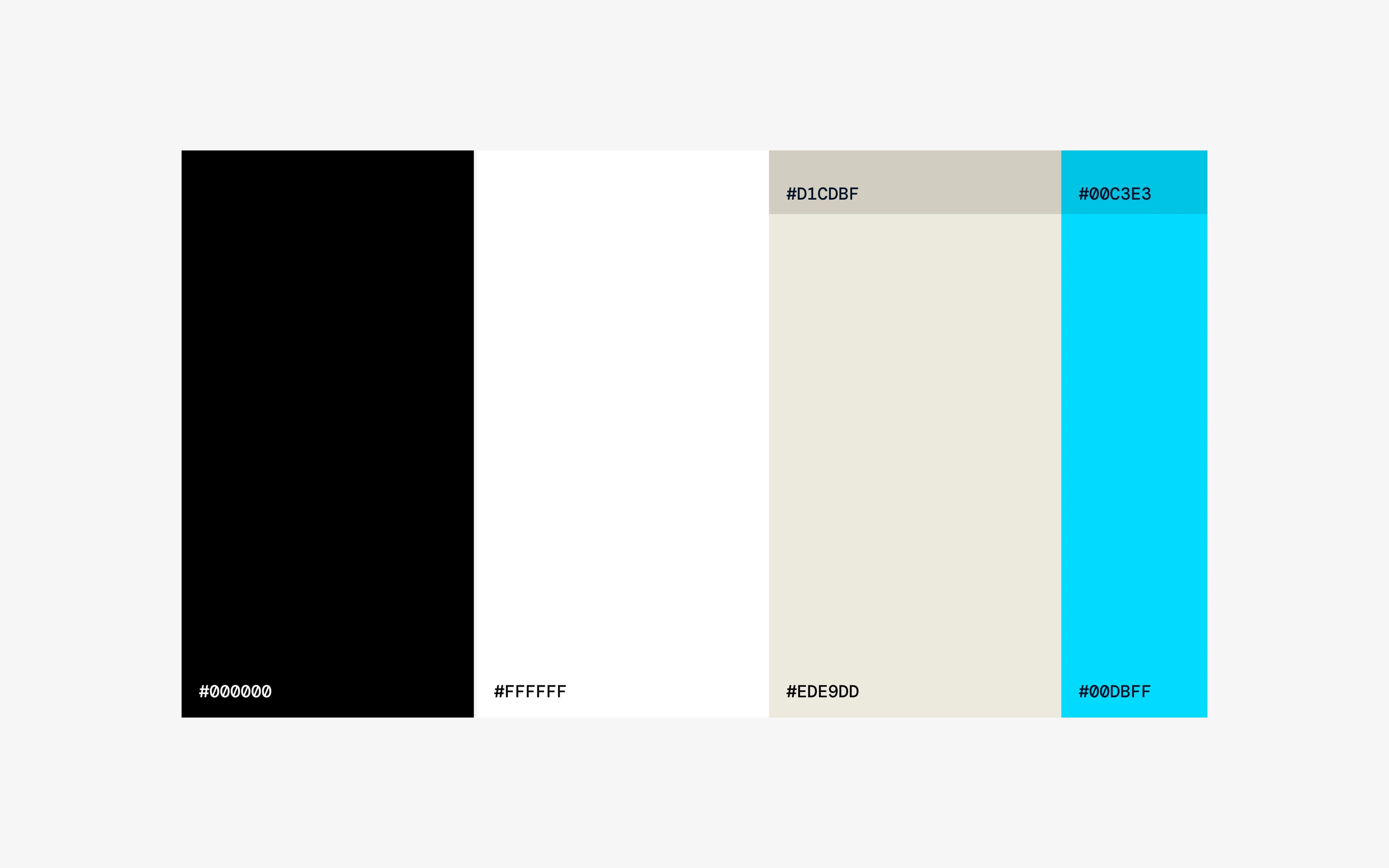 Rysk colour palette: black, off-white and cyan