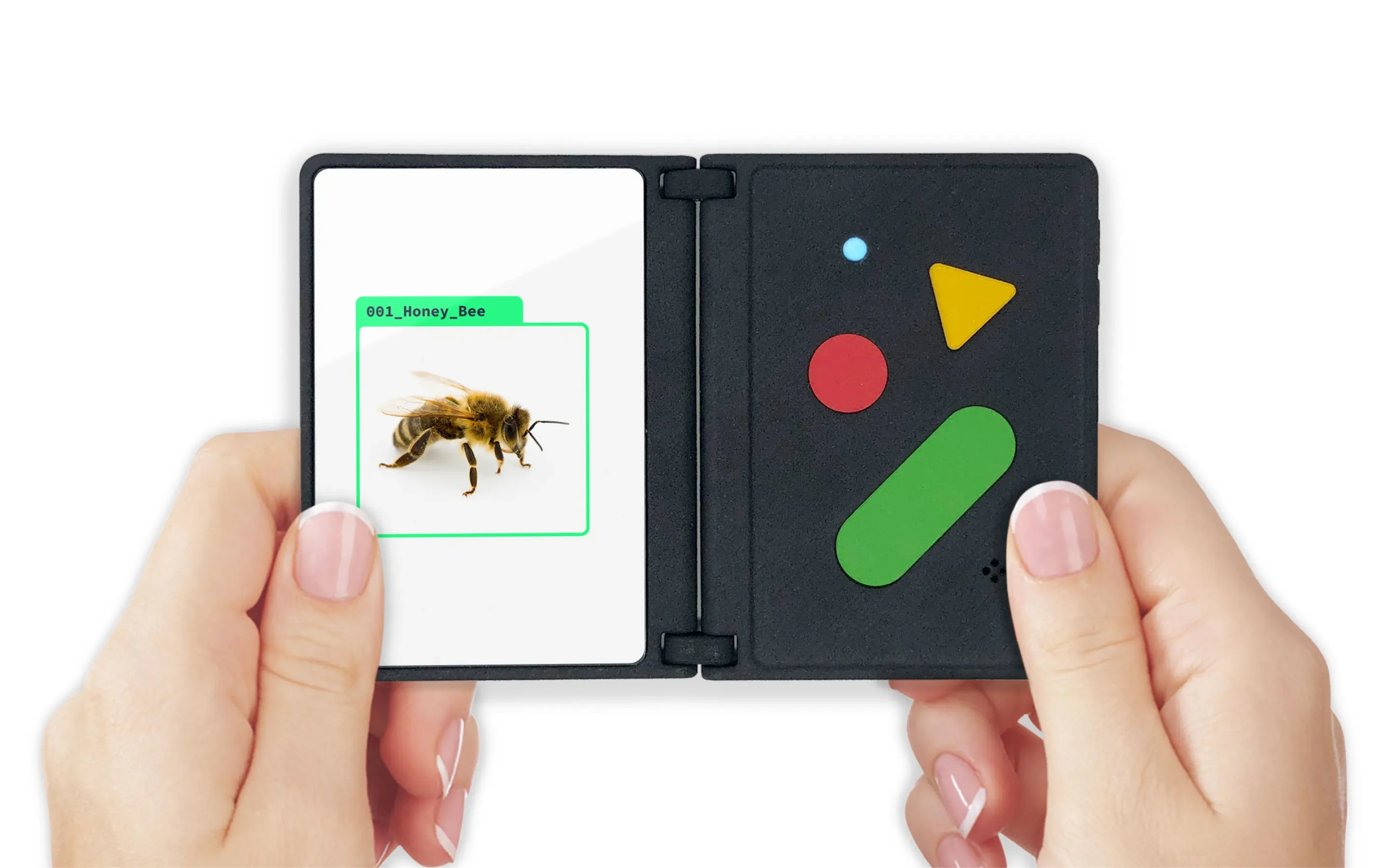 Hands holding the Ash AI Pokedex open, a honey bee identified on screen