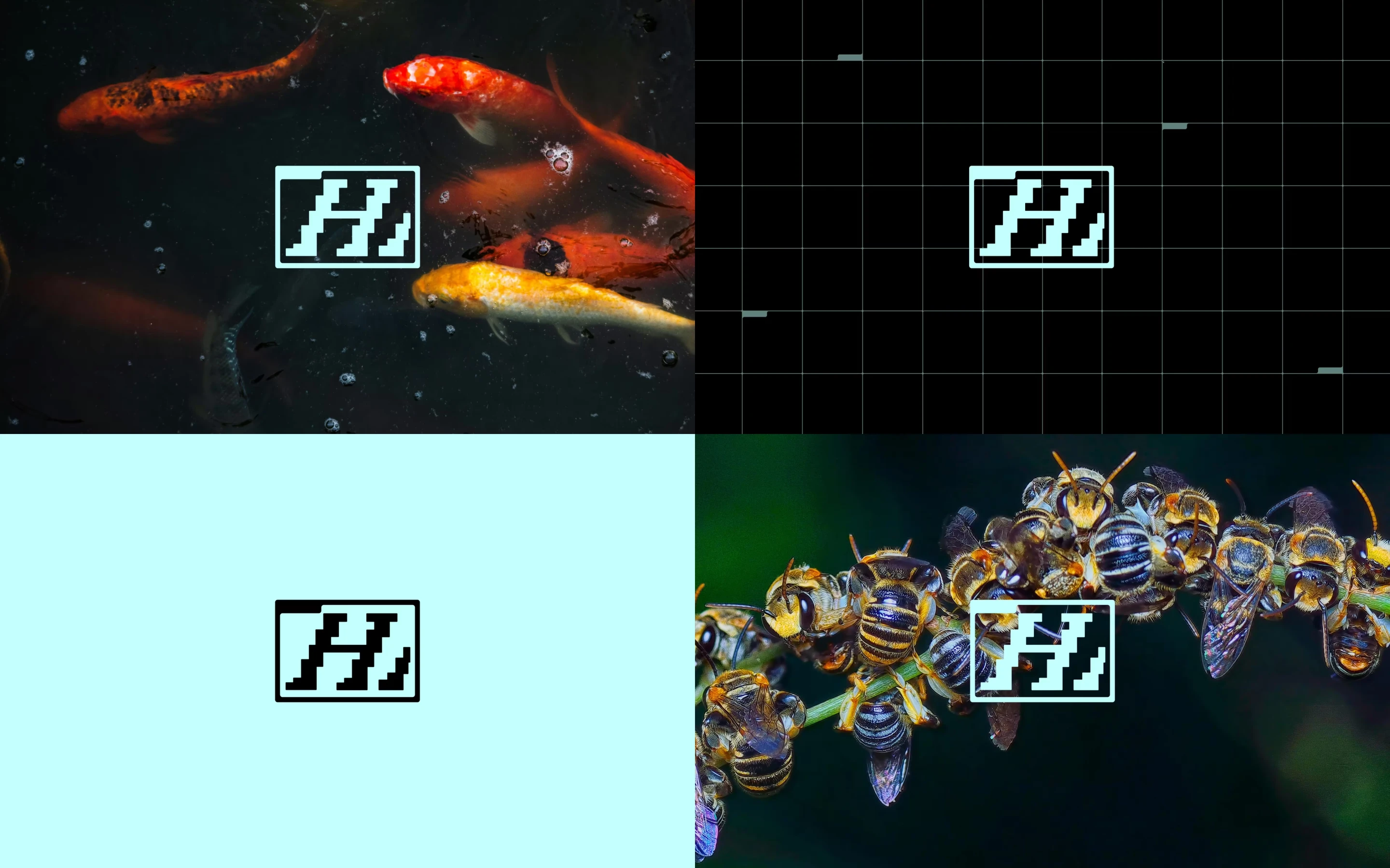 Hackbot brand imagery: koi, bees and machine vision overlays