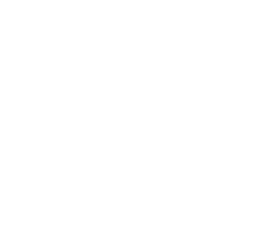 Be SI'n: Exploring the Media Landscape 