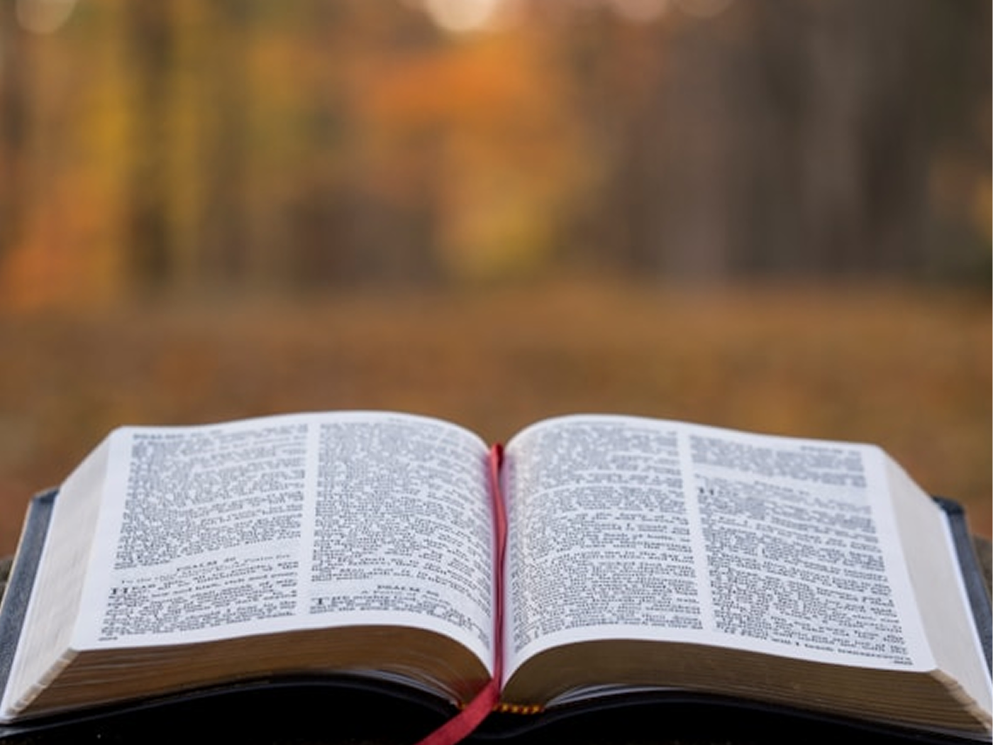 Conseil pastoral