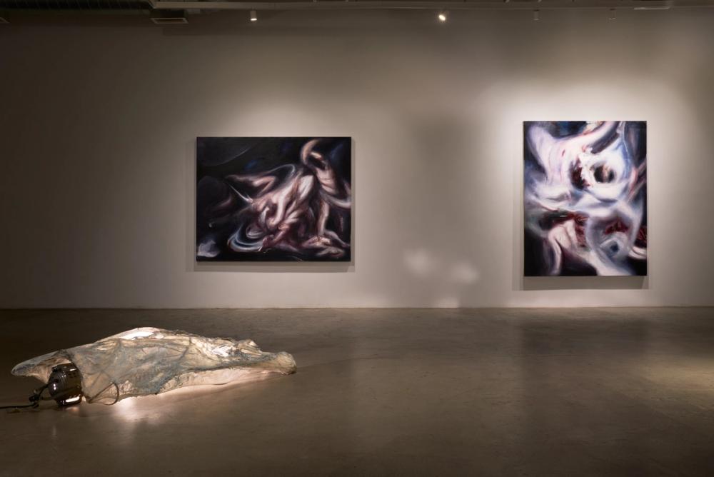 Slide 5 of exhibition installation photos