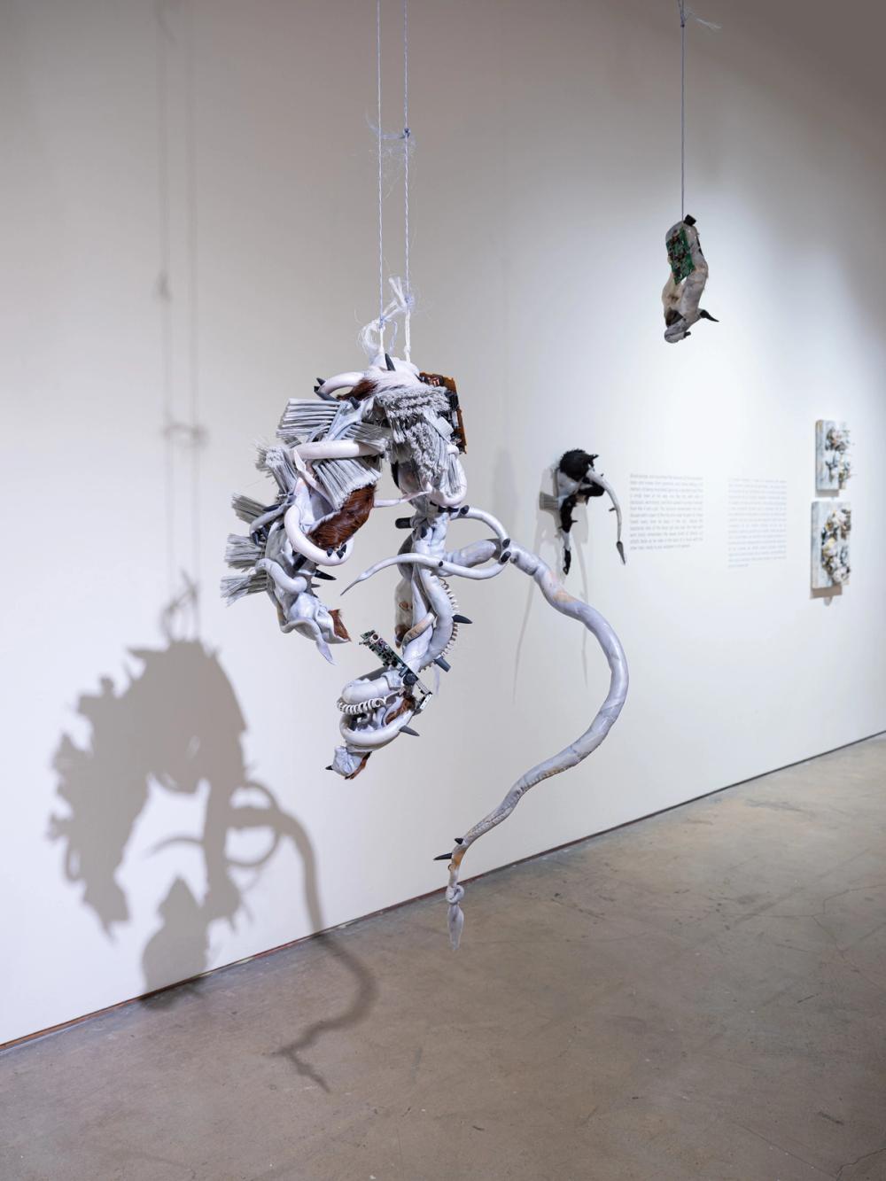 Slide 7 of exhibition installation photos