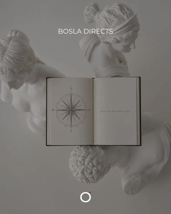 bosla social post 4