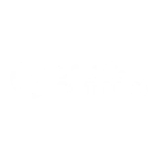 Court Connect