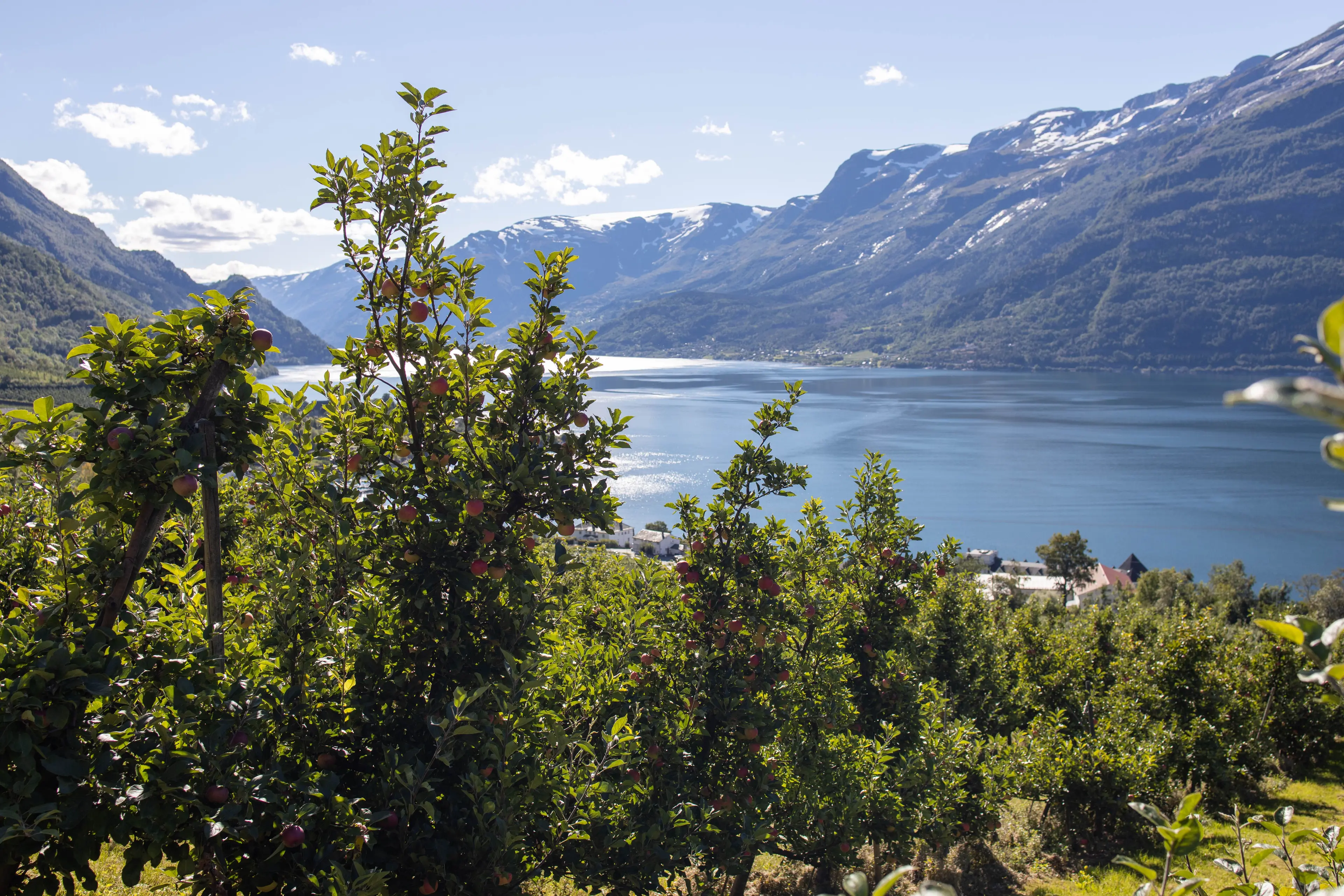 Lokale råvarer og en smak av Italia i Hardanger