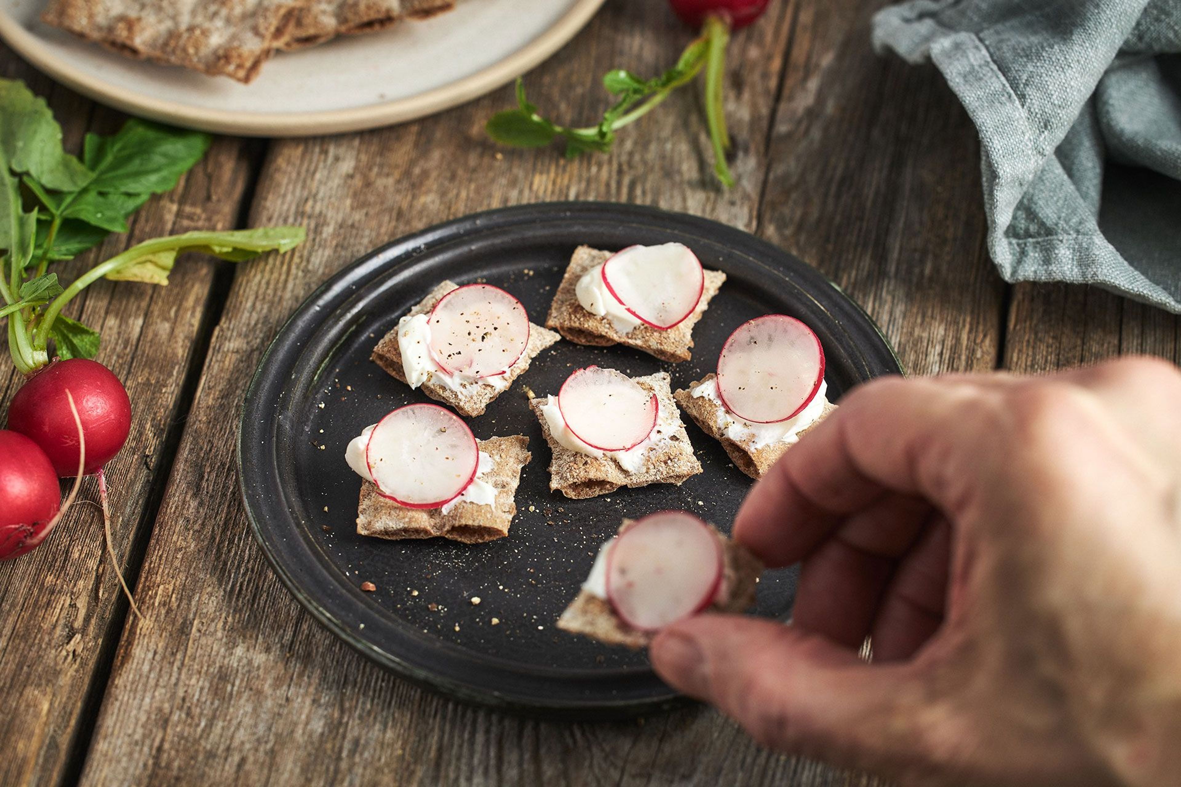 Små bitar knäckebröd med topping av färskost och rädisa