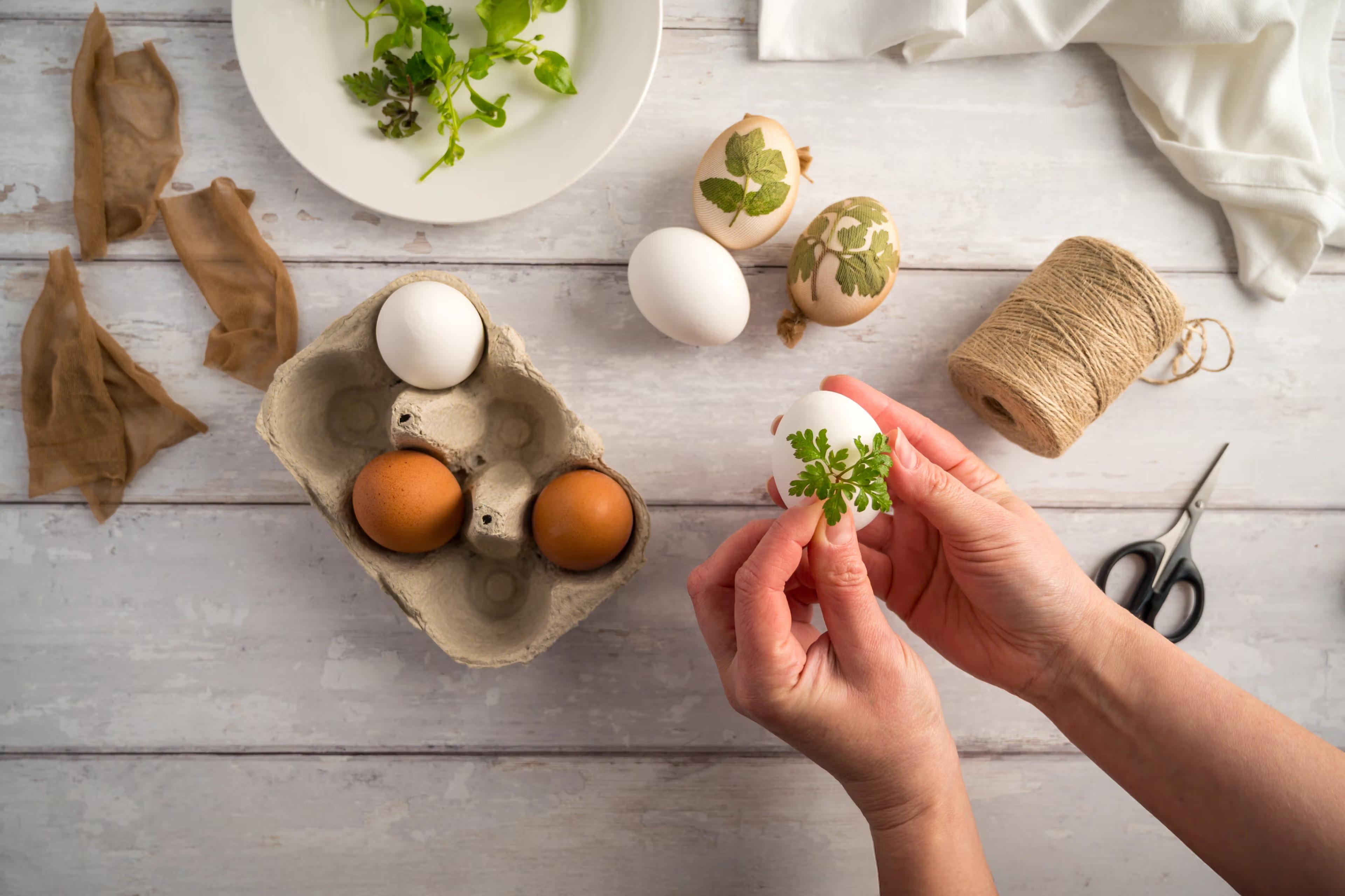 Hænder fæstner blade på et æg, mens snor og stykker af nylonstrømper ligger klar ved siden af.