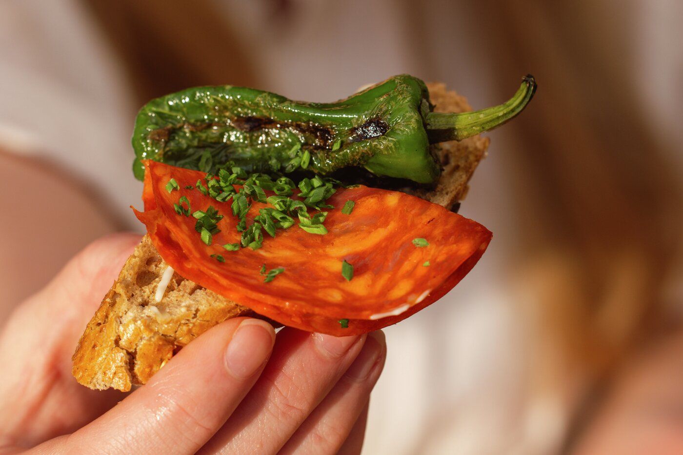 Hånd, der holder en skive brød med charcuteri og grøntsager