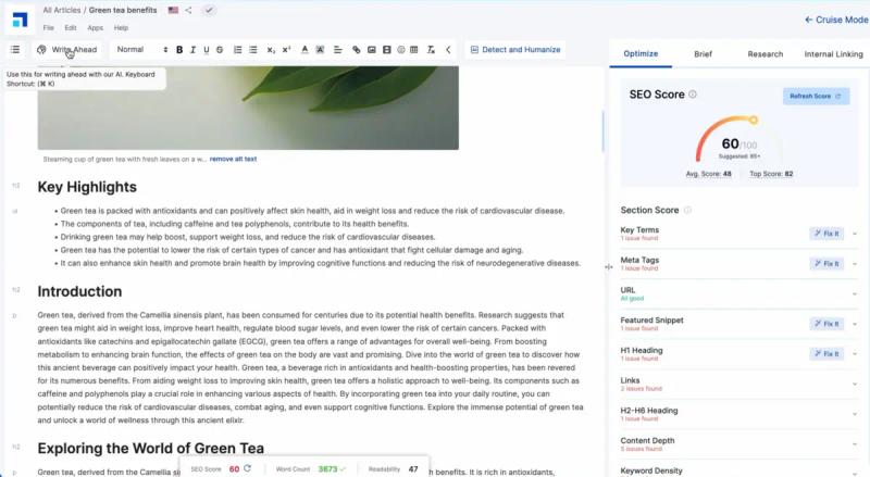 Scalenut Content Optimization with SEO Score