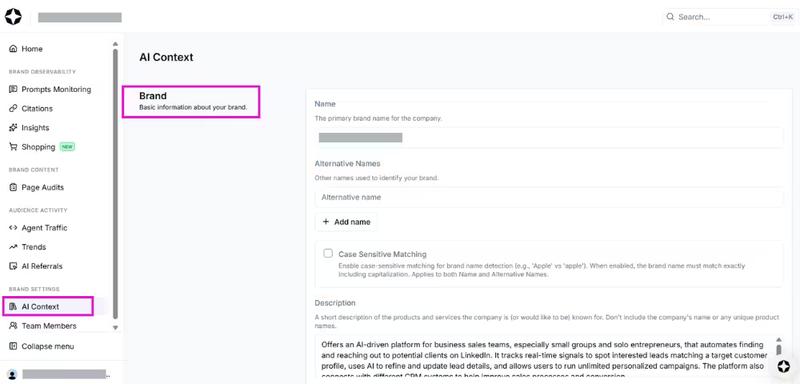 Scrunch AI Brand Context building
