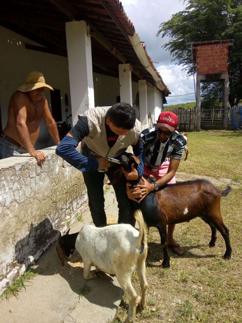 MELHORANDO A PRODUÇÃO E GERANDO RENDA, INOVAÇÃO TECNOLÓGICA FORTALECE A AGRICULTURA FAMILIAR NO CEARÁ