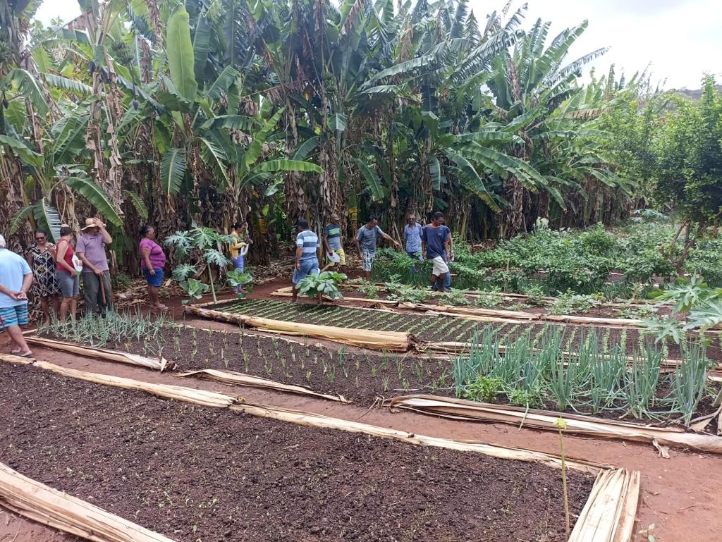 CEALTRU, ATRAVÉS DE SUA EQUIPE TÉCNICA, PROMOVE DIA DE CAMPO NO MUNICÍPIO DE ALTANEIRA, NA COMUNIDADE TABOQUINHA