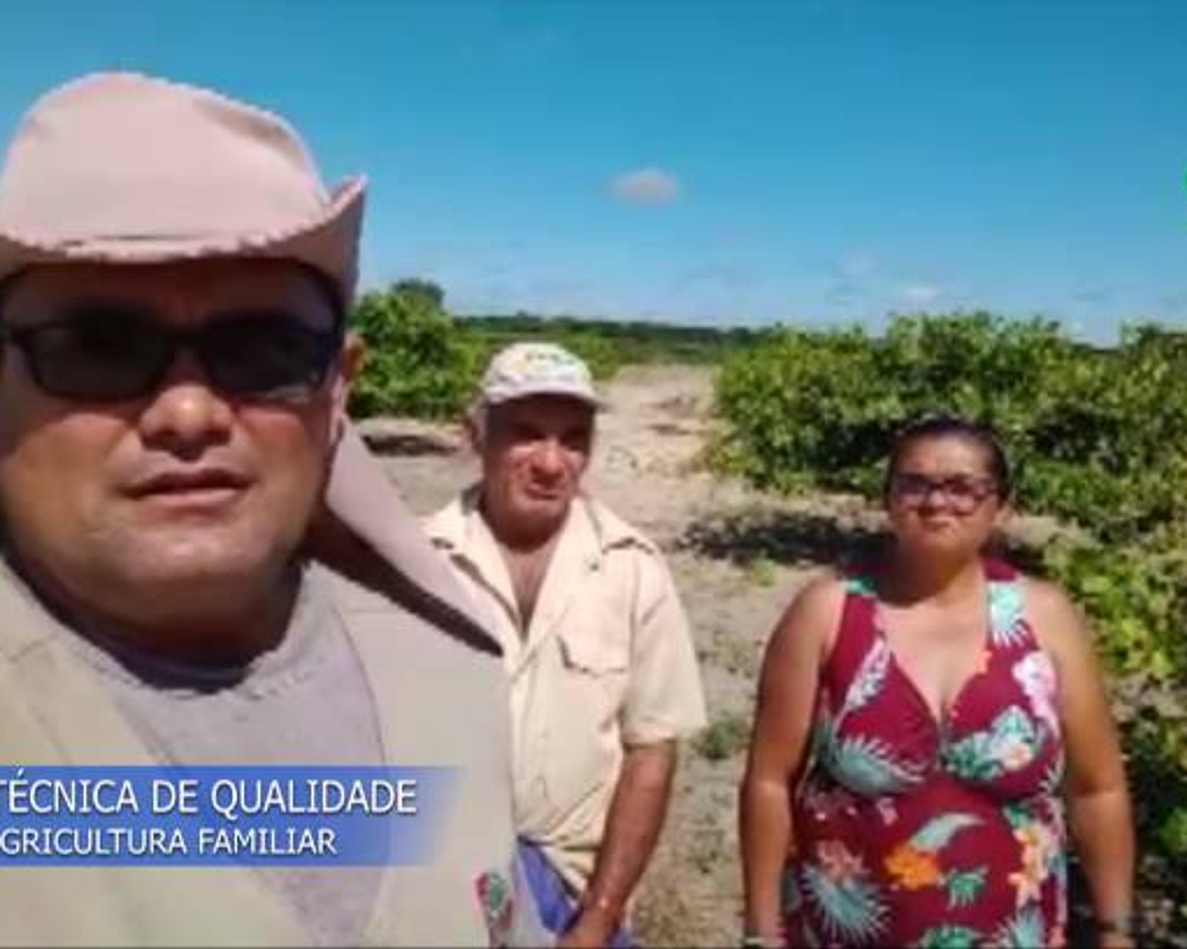 VÍDEO: ASSESSORIA TÉCNICA DE QUALIDADE IMPACTA NA AGRICULTURA FAMILIAR