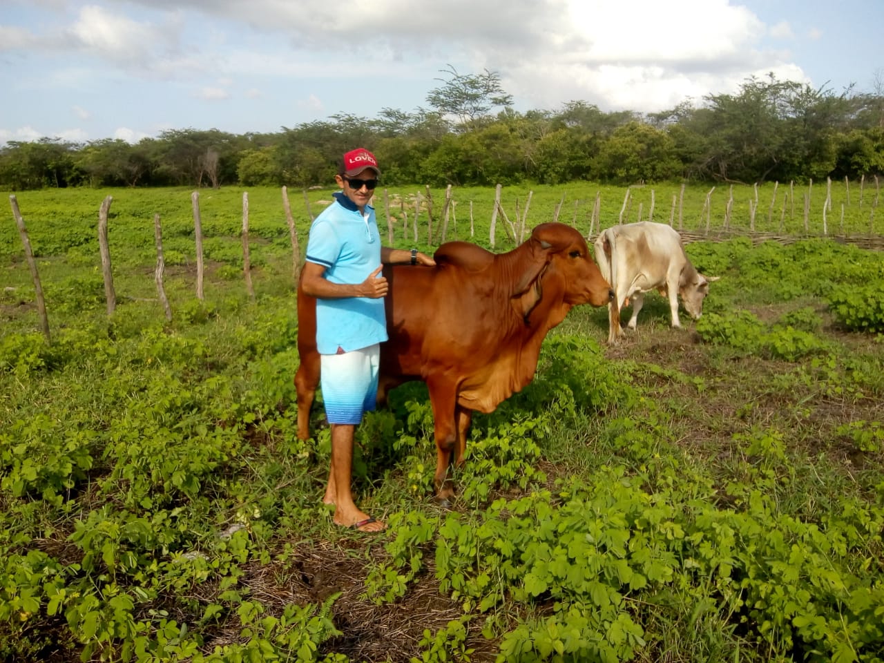 MELHORANDO A PRODUÇÃO E GERANDO RENDA, INOVAÇÃO TECNOLÓGICA FORTALECE A AGRICULTURA FAMILIAR NO CEARÁ