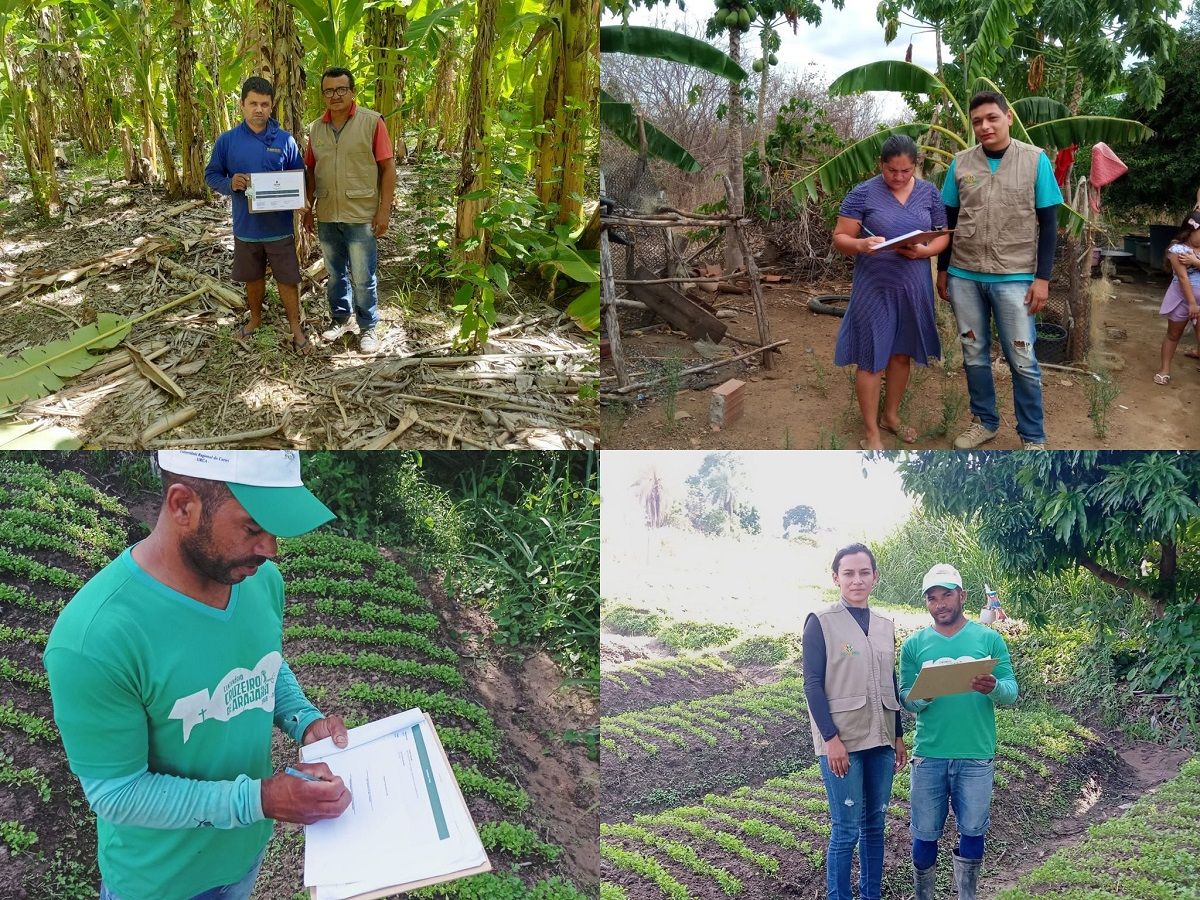 CRÉDITO PARA A AGRICULTURA FAMILIAR – CEALTRU APROVA 51 PROJETOS PRODUTIVOS JUNTO AO FEDAF